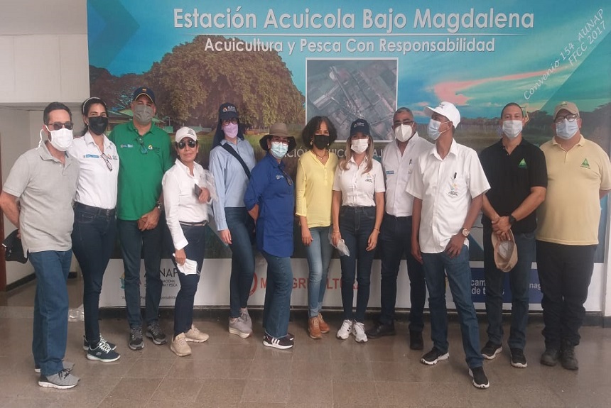 Los Tejos