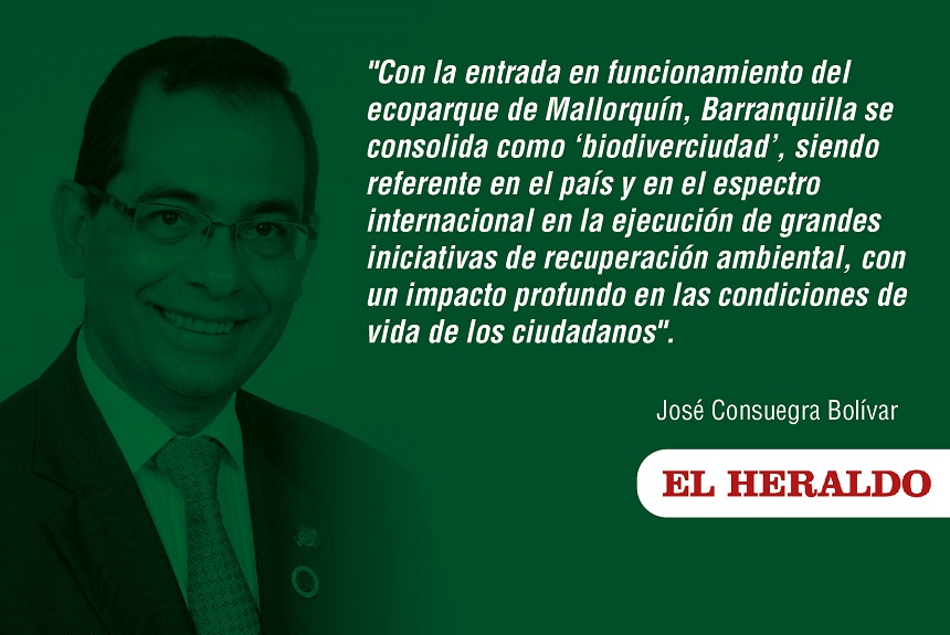 Los Tejos