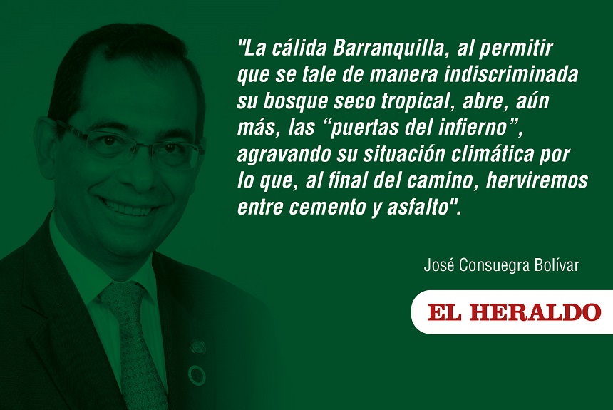 Los Tejos