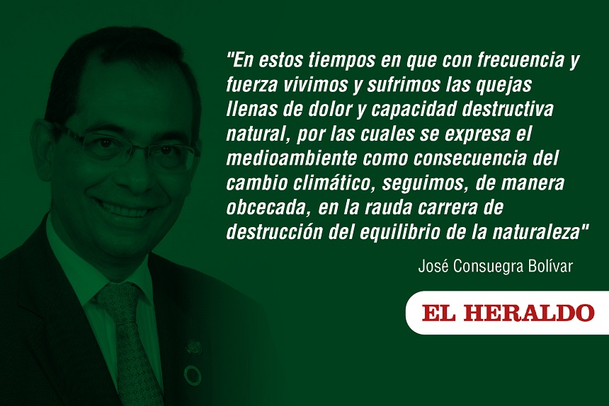 Los Tejos