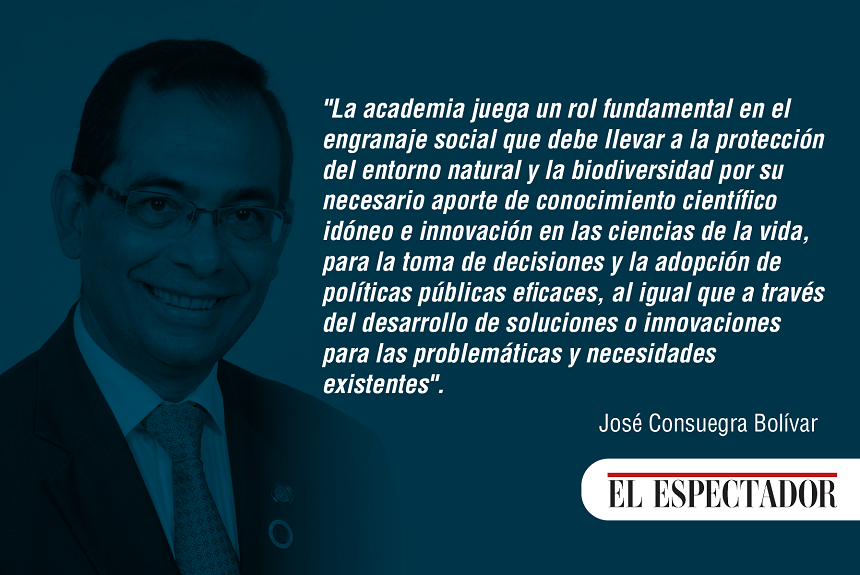 Los Tejos