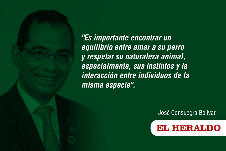 Los Tejos