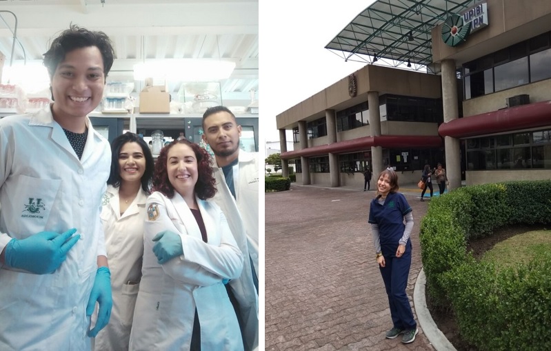 Los Tejos